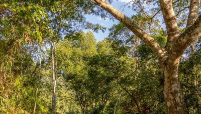 La Luciole Ecolodge - Foto 2