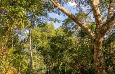 La Luciole Ecolodge - Foto 2