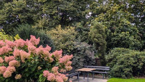 Apartment in Minden-Nordstadt - Foto 5, Garden