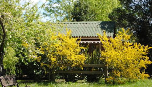 Charmant chalet en bois - Foto 3