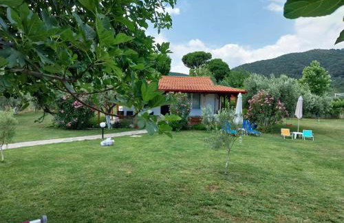 Bill & Eva's precious jewel - Photo 45