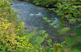 Country Mountain Escape! - Foto 34