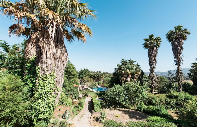 Quinta Verde Sintra - Foto 66