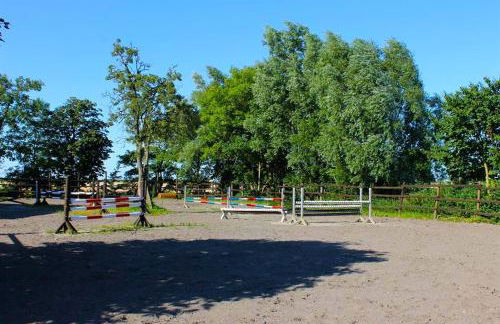 Tetenshof für Pferdeliebhaber - Foto 8