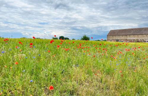 Kranichrast - Photo 16