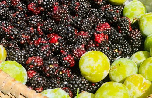 Incanto del Garda - Foto 27