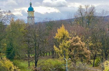 Ferienwohnung Parkblick - Foto 9