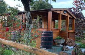 Songbird Lodge - Near brew pub/10 mins from Snowdon - Photo 1