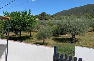 Terre de Lumière - Foto 8