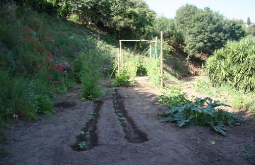 costa di sognu - Foto 74