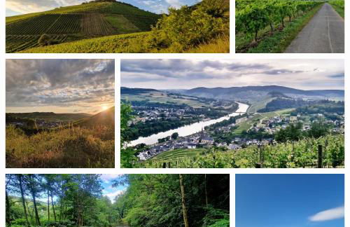 das rote Ferienhaus Terlinden - Foto 19