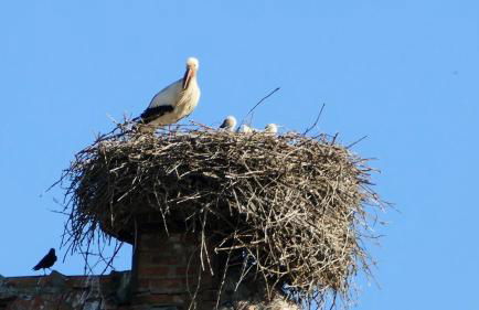 Un balcon sur les toits - Foto 26