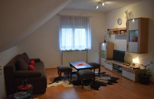 Apartman Skender 3* Ravna Gora - Foto 8