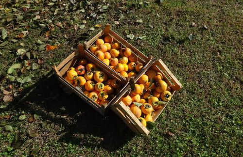 Corte Isolo - Photo 33