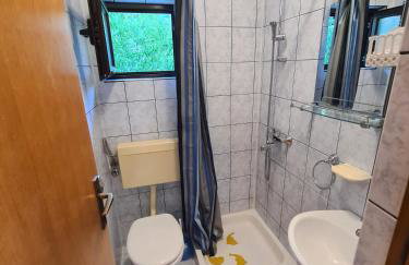 ĆOSIĆ APARTMANI IGRANE - Photo 13