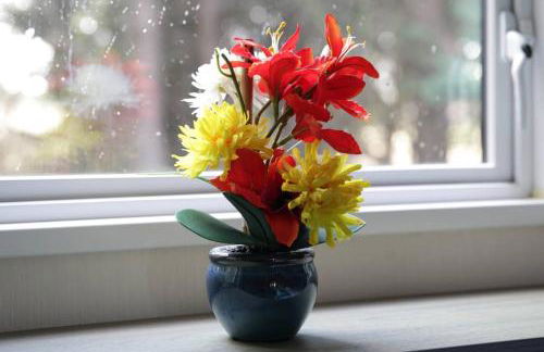 Edinburgh - Seton Sands-Cameo Caravan-Pet Friendly - Foto 24