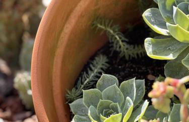 Casa da Touça - Foto 51