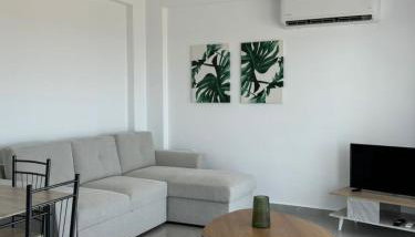 Suites Kombucha - Photo 5