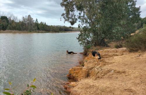 FINCA RIODIEL - Foto 46