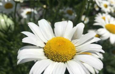 Downtown Beach & Ski Pad - Foto 6