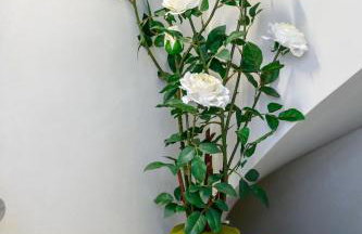 Deluxe Maisonette With Private Jacuzzi - Photo 57