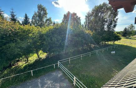 Apartament Nad Stajnią - Foto 5