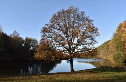 Ferienwohnung "Harzliebe" - Foto 23