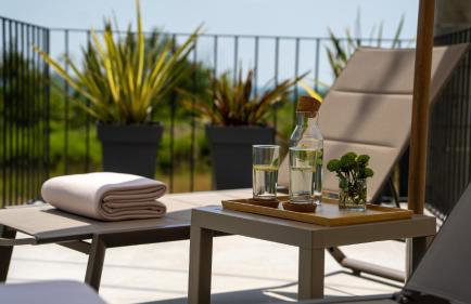 Modern villa Venta with jacuzzi and pool in Buje - Foto 18