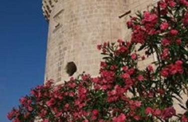 Villa Jade Apartments FRONT ROW SEA VIEW - WALK TO KORCULA OLD TOWN - Foto 67