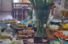 Oforasteiro - Foto 9