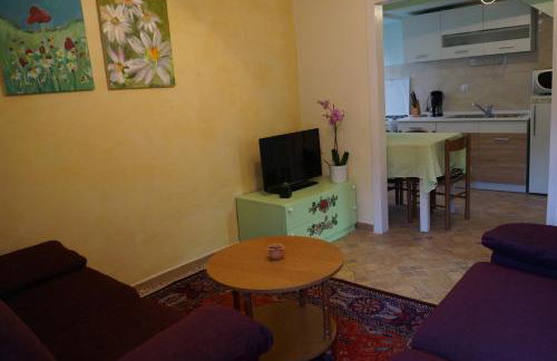 Apartment Istriana - Photo 10