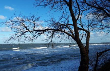 Ferienhaus Karola - Foto 51