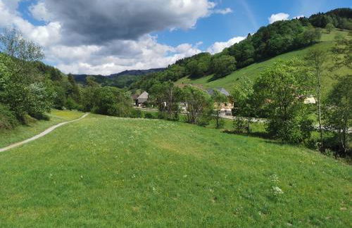 Ferienwohnung Vogelsang im Schwarzwald - Foto 35