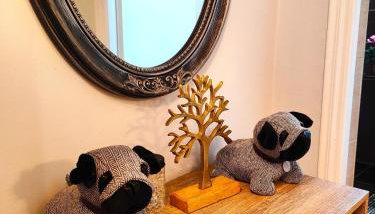 Zika's House - Foto 3