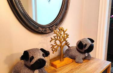 Zika's House - Foto 3