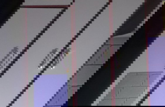 Recanto Vita et Pax - Photo 10