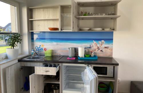 Sofia Dwupoziomowe Apartamenty - Foto 21