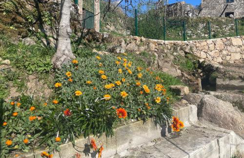 Quintinha de Pinouco - Foto 9