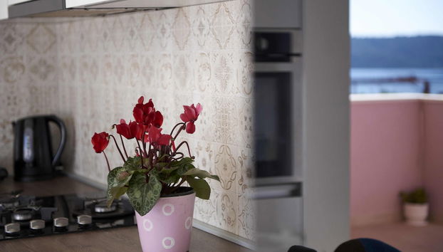 Tinel - Foto 5, Cocina privada