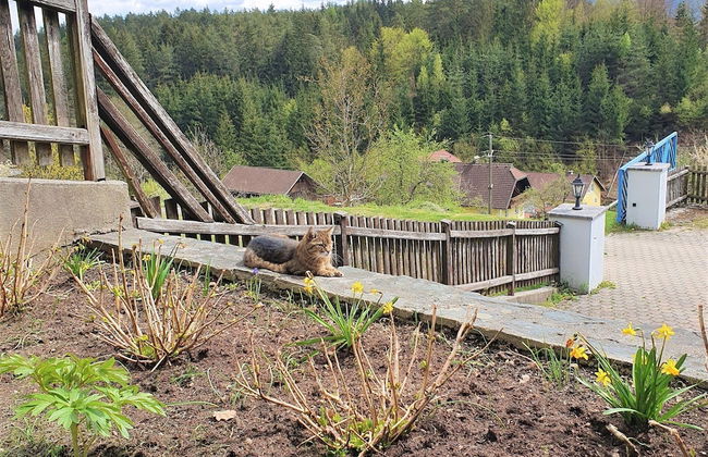 Apartment by Worthersee With Pool - Photo 28