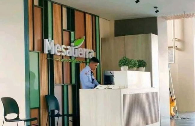 Rinann's Mesatierra Garden Residences - Foto 2