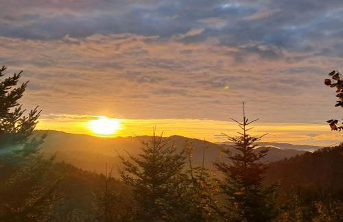 Ferienwohnung auf dem Bückle - Foto 17