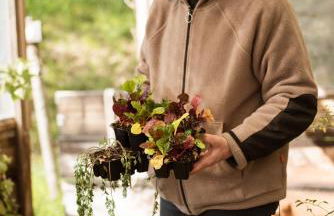 Boutique Hotel Poggio ai Santi - Adults Only - Foto 51