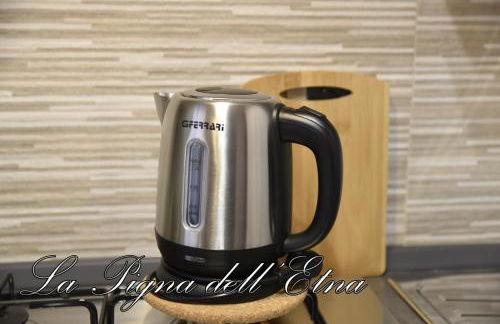 La Pigna dell'Etna - Foto 11