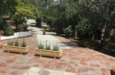 Jardin Andaluz veleta - Foto 12