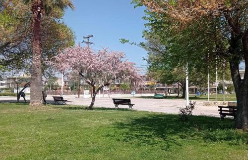 PERLA apartments - Photo 73