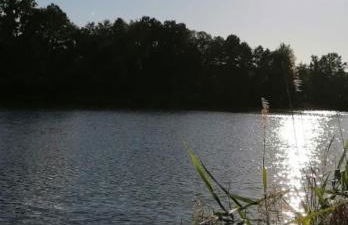 Ferienwohnung Schlossblick Direkt gegenüber dem Schloss, Rhododendronpark mit Terrasse und WLAN - Foto 27