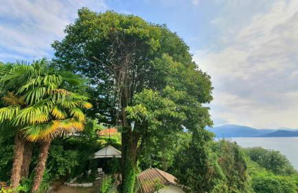 Bella Vista Lago Maggiore Einzigartiger Blick 365 Tagen - Foto 58