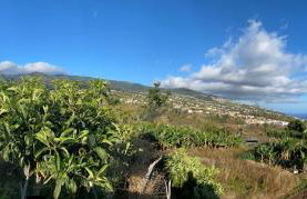 Tranquilidade - Foto 24