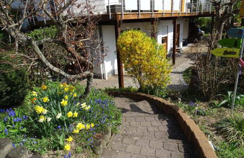 Apartwohnen - Foto 12